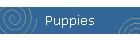 Puppies